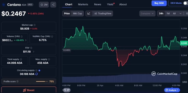 Cardano Names Foundation Catalyst Manager