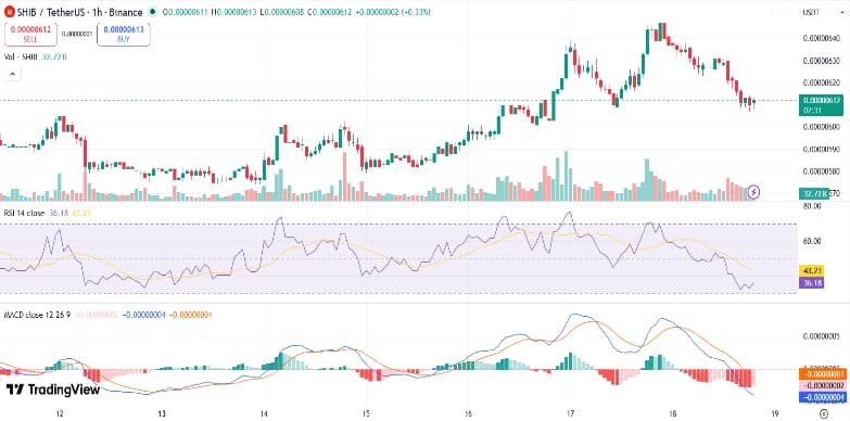 Shiba Price Correction Daily Chart: 5% Drop