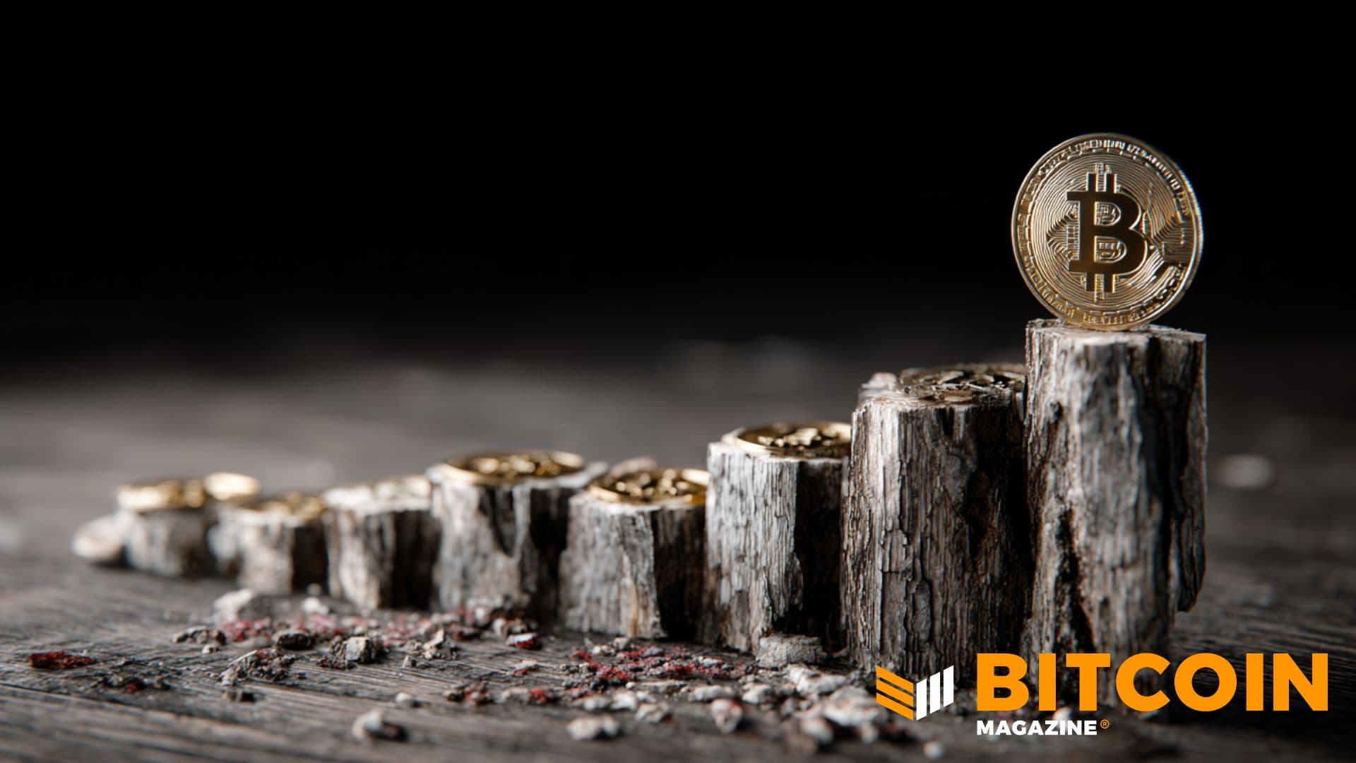 Bitcoin Moves Past Halfway Point: Supply Tightens