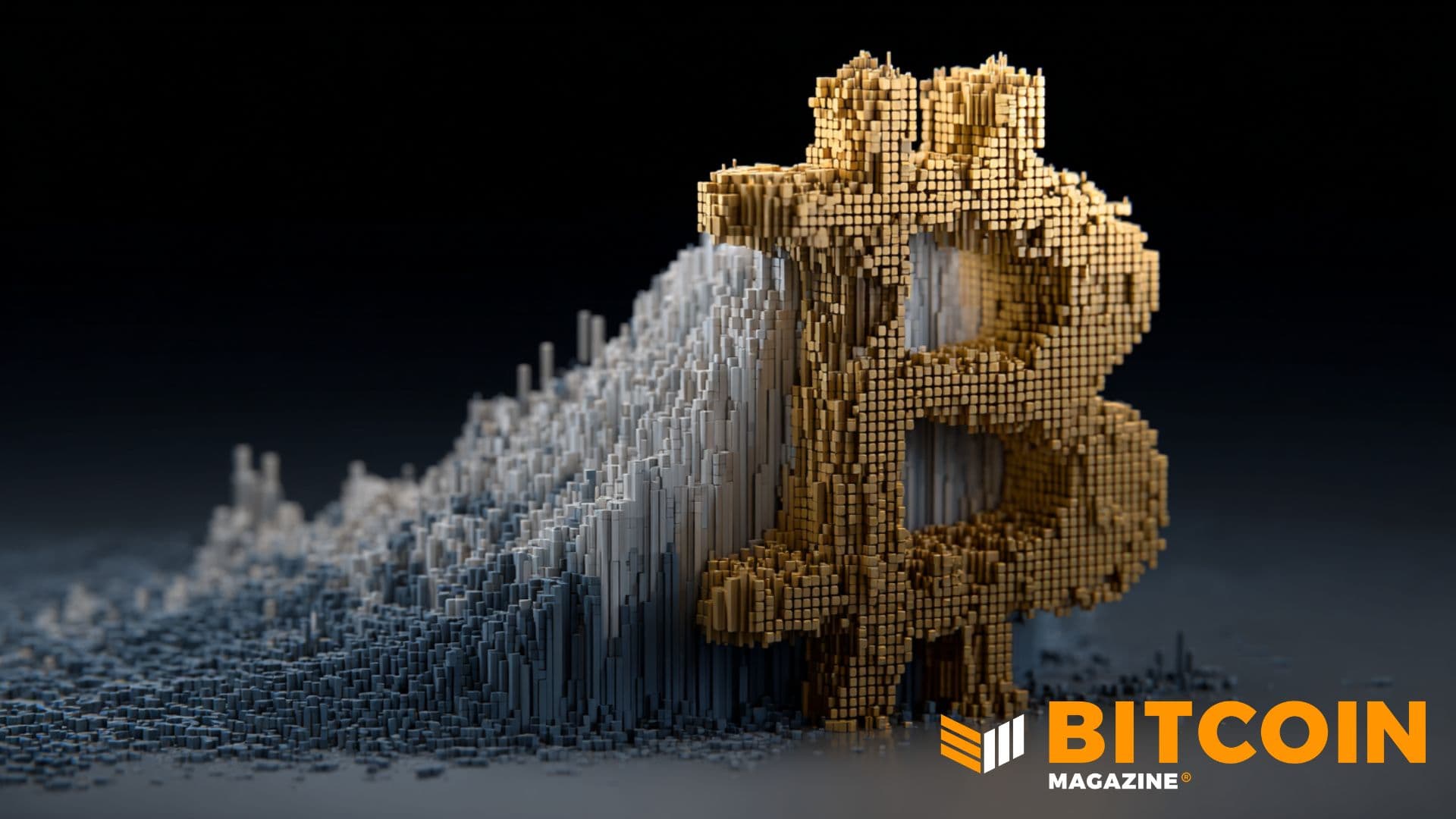 Capital Buys More Bitcoin Expands Treasury
