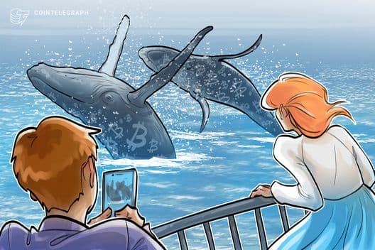 Whales Sharks Buy 61,000 BTC