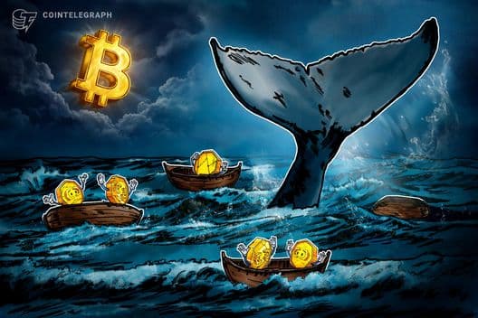 Rich Bitcoin Traders Lost $337M Daily