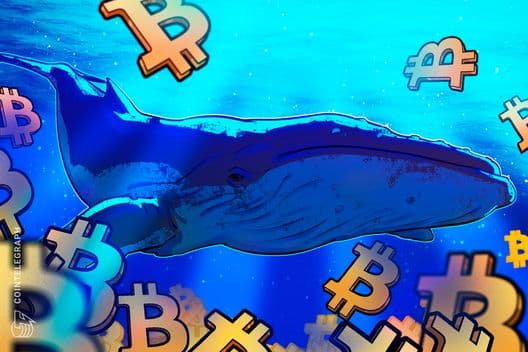 Bitcoin Eyes $90K as Whales Absorb Daily Supply