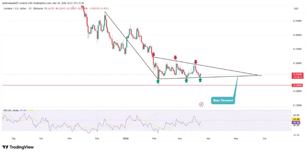 Cardano Price Eyes Rally as MVRV Signals Capitulation