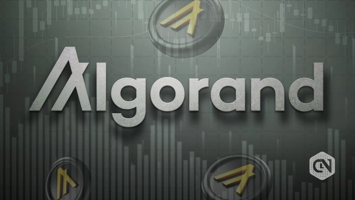 Algorand Price Jumps Google Quantum